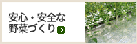 生産者の方へ　安心・安全な野菜づくり
