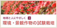 環境・景観作物の試験栽培