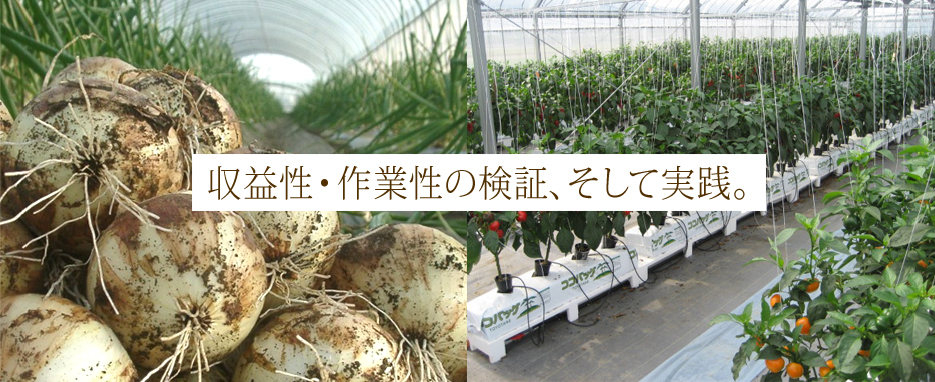 アーティフルでは収益性・作業性の検証、そして実践を行っております。